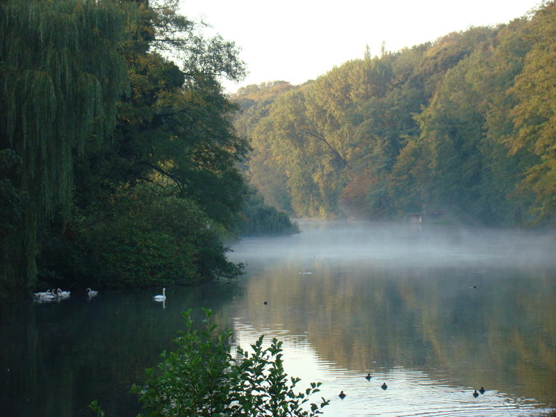 View during breakfast